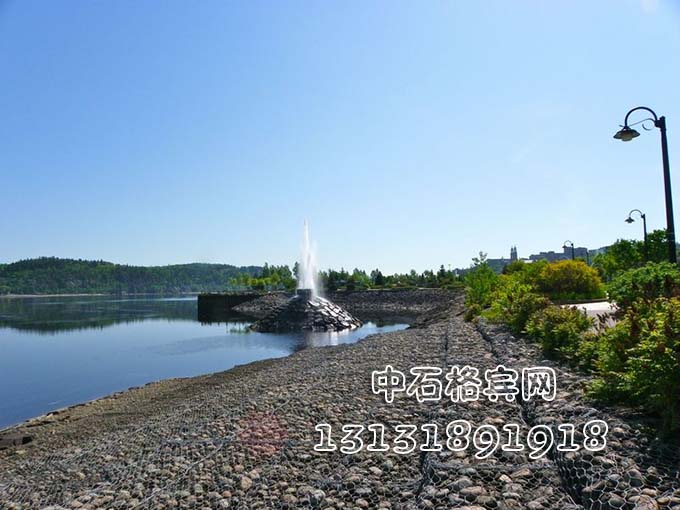 雙隔板雷諾護墊